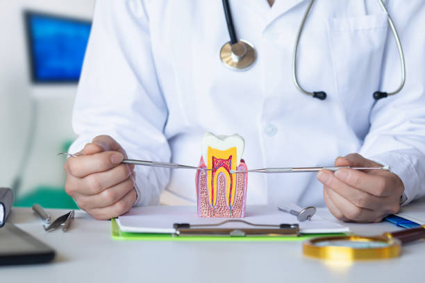 Best Urgent Dental Care for Toothaches in Jim Thorpe, PA